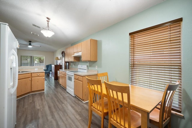 24841 Mary Beth Ct, Land O Lakes, FL 34639 - photo 5