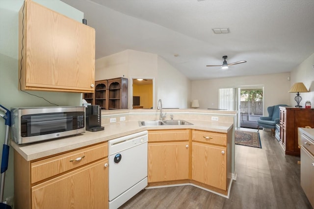 24841 Mary Beth Ct, Land O Lakes, FL 34639 - photo 7