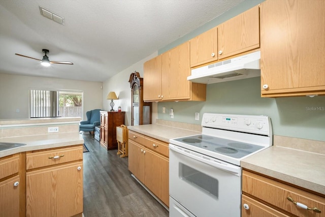24841 Mary Beth Ct, Land O Lakes, FL 34639 - photo 8