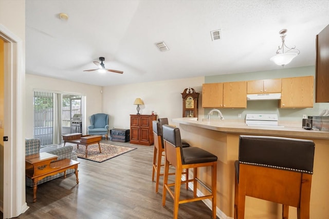 24841 Mary Beth Ct, Land O Lakes, FL 34639 - photo 11