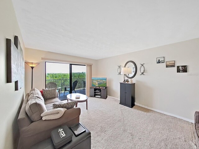 19451 Gulf Blvd Unit 205, Indian Shores, FL 33785 - carpeted living room featuring baseboards