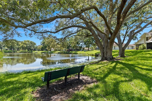 440 Lakeview Dr Unit 34, Palm Harbor, FL 34683 - view of community featuring a water view and a yard