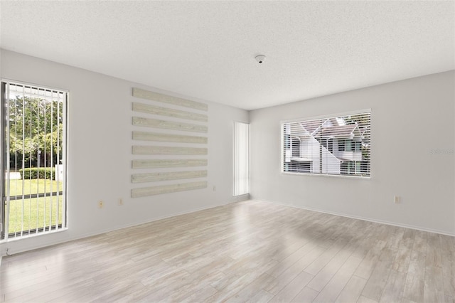 440 Lakeview Dr Unit 34, Palm Harbor, FL 34683 - spare room featuring light wood-style flooring, a textured ceiling, and plenty of natural light
