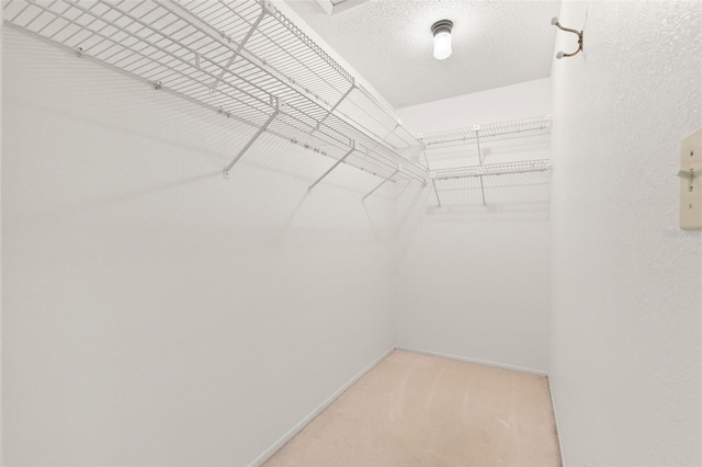 440 Lakeview Dr Unit 34, Palm Harbor, FL 34683 - spacious closet with carpet floors