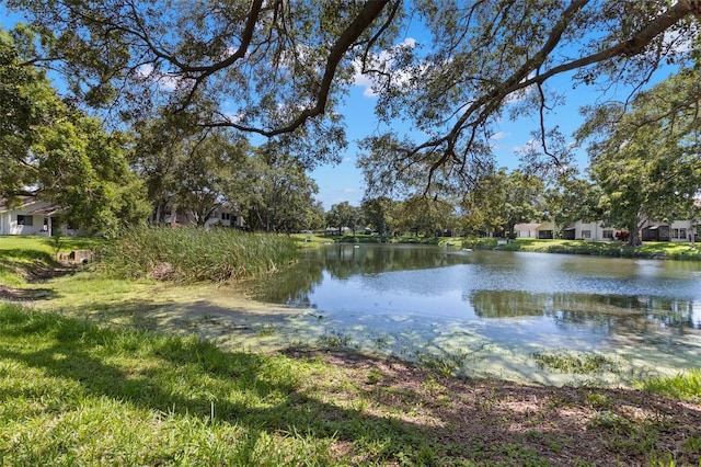 440 Lakeview Dr Unit 34, Palm Harbor, FL 34683 - water view