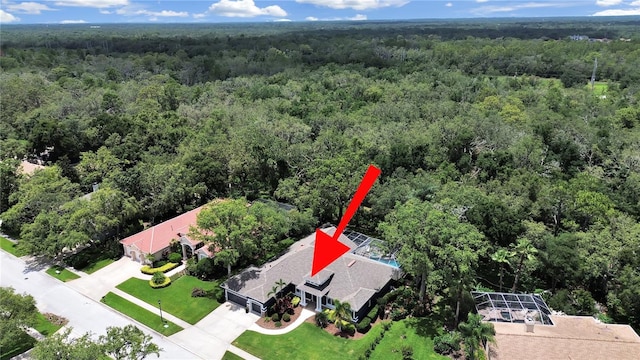 15024 Eaglepark Pl, Lithia, FL 33547 - aerial view of a forest