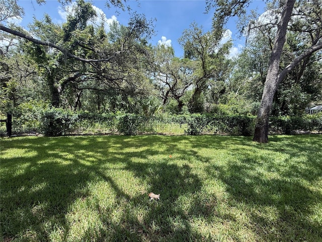 15024 Eaglepark Pl, Lithia, FL 33547 - view of green lawn