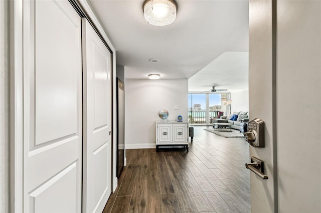 400 Island Way Unit 502, Clearwater Beach, FL 33767 - corridor with dark wood finished floors and baseboards