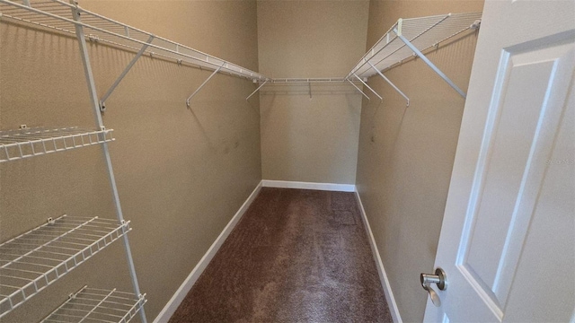 11341 Durham St, Parrish, FL 34219 - walk in closet with carpet flooring