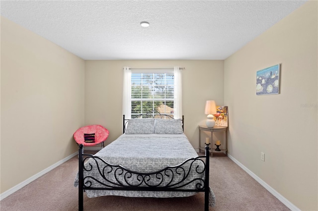 10216 Summer Azure Dr, Riverview, FL 33578 - carpeted bedroom with baseboards and a textured ceiling