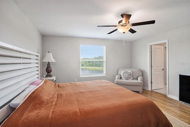 1655 Blue Rose Dr, Ruskin, FL 33570 - photo 13