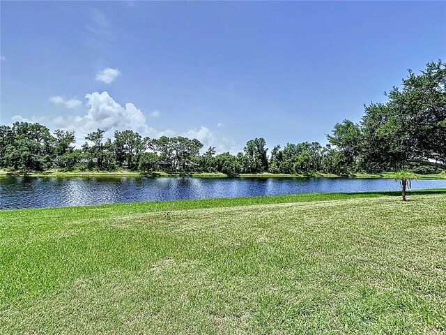 6314 Gondola Dr, Riverview, FL 33578 - photo 4