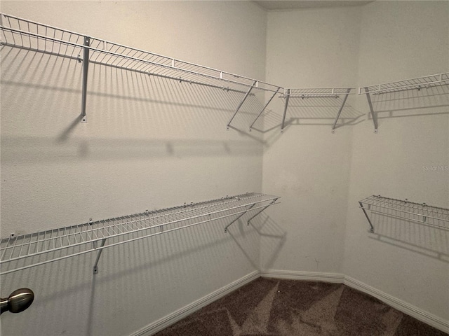 4448 Globe Thistle, Tampa, FL 33619 - walk in closet featuring dark colored carpet