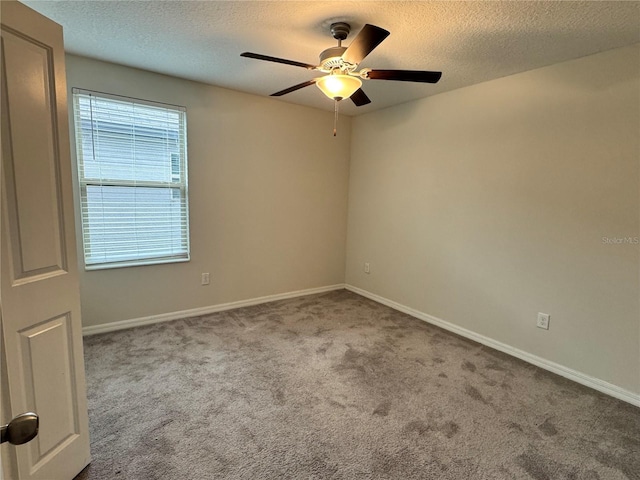 4448 Globe Thistle, Tampa, FL 33619 - spare room featuring ceiling fan, carpet flooring, and a textured ceiling