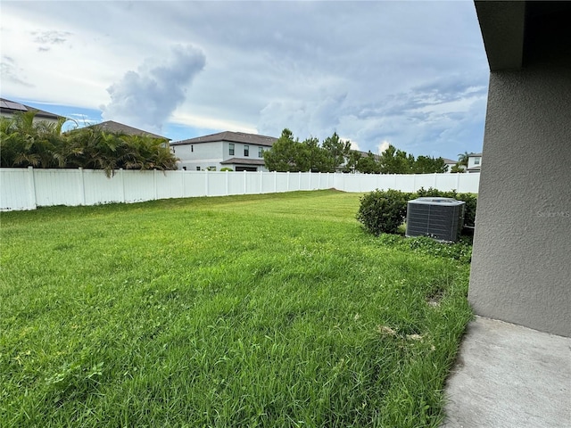 4448 Globe Thistle, Tampa, FL 33619 - view of yard