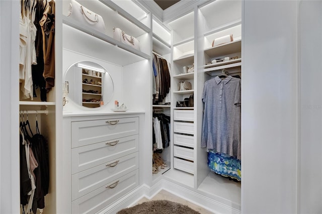 7420 Paradiso Dr, Apollo Beach, FL 33572 - view of spacious closet