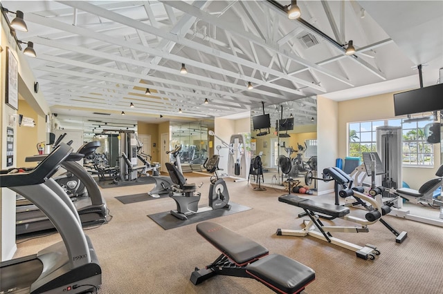 2400 Feather Sound Dr Unit 528, Clearwater, FL 33762 - exercise room with vaulted ceiling and carpet floors