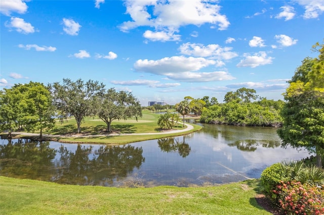 2400 Feather Sound Dr Unit 528, Clearwater, FL 33762 - water view