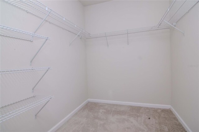 3062 Victoria Inlet Dr, Holiday, FL 34691 - photo 27