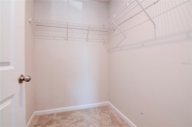 3062 Victoria Inlet Dr, Holiday, FL 34691 - photo 30