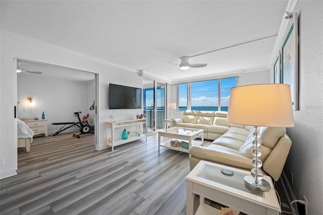 6372 Palma Del Mar Blvd S Unit 601, Saint Petersburg, FL 33715 - living area featuring ceiling fan, crown molding, wood finished floors, a textured ceiling, and floor to ceiling windows