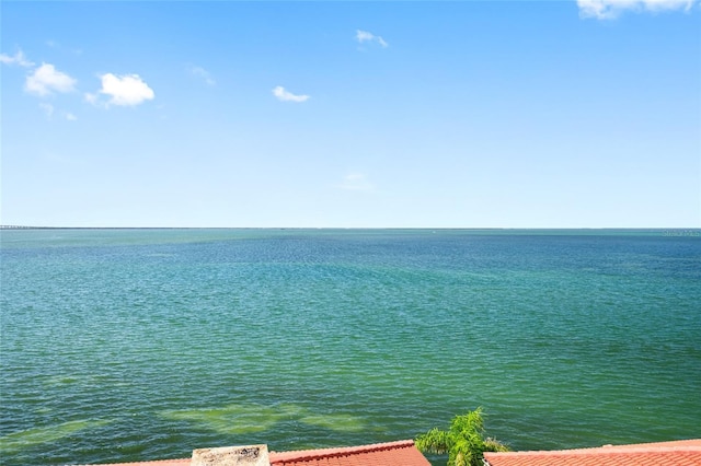 6372 Palma Del Mar Blvd S Unit 601, Saint Petersburg, FL 33715 - water view