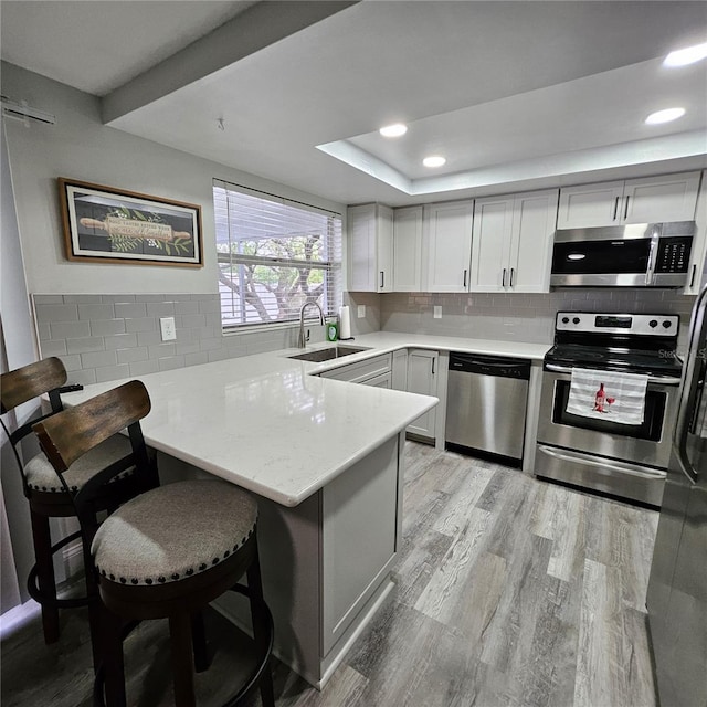 6008 Firefly Ln, Apollo Beach, FL 33572 - kitchen with stainless steel appliances, a peninsula, tasteful backsplash, light wood-style floors, and recessed lighting