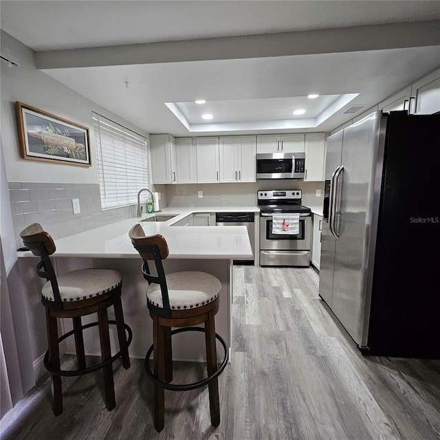 6008 Firefly Ln, Apollo Beach, FL 33572 - kitchen featuring stainless steel appliances, a raised ceiling, a peninsula, light wood-type flooring, and light countertops