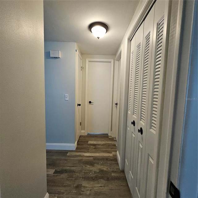 6008 Firefly Ln, Apollo Beach, FL 33572 - hallway with dark wood-style flooring and baseboards