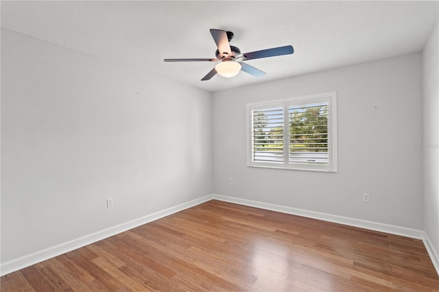 1313 Oxbridge Dr, Lutz, FL 33549 - photo 36