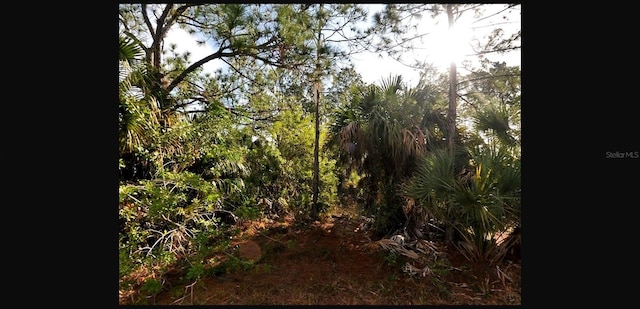 Sernice St, North Port, FL 34288
