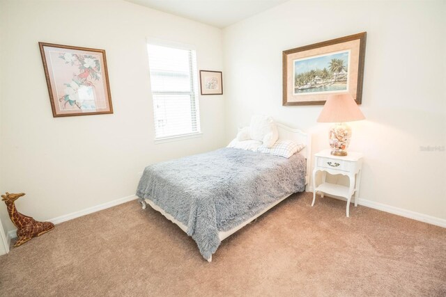 5003 Wabash Pl, Riverview, FL 33578 - photo 29