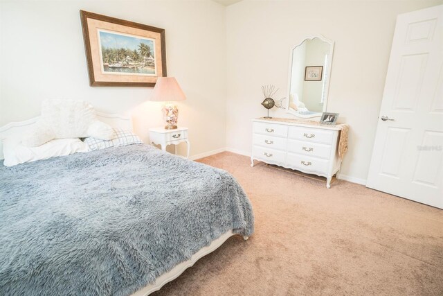 5003 Wabash Pl, Riverview, FL 33578 - photo 30