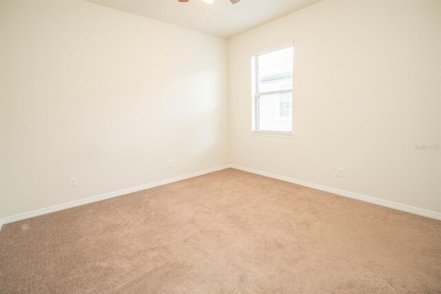 5003 Wabash Pl, Riverview, FL 33578 - photo 34