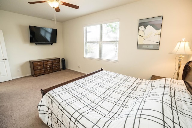 5003 Wabash Pl, Riverview, FL 33578 - photo 41
