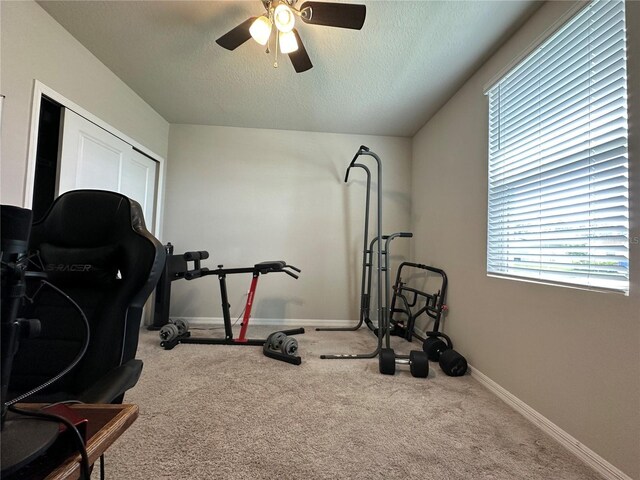 219 Lovely Ct, Plant City, FL 33566 - photo 4