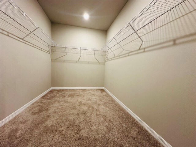 219 Lovely Ct, Plant City, FL 33566 - photo 29