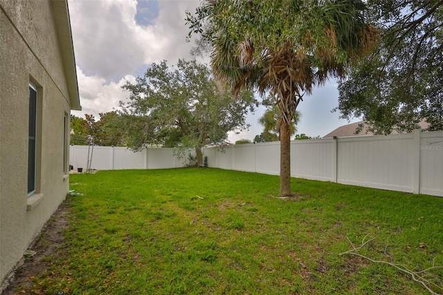 11415 Bright Star Ln, Riverview, FL 33569 - view of yard