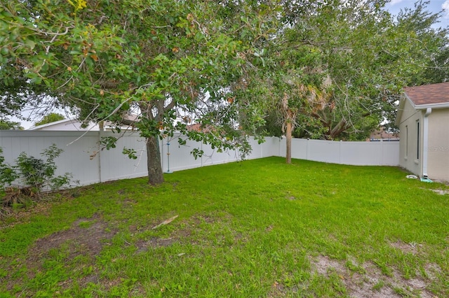 11415 Bright Star Ln, Riverview, FL 33569 - view of yard