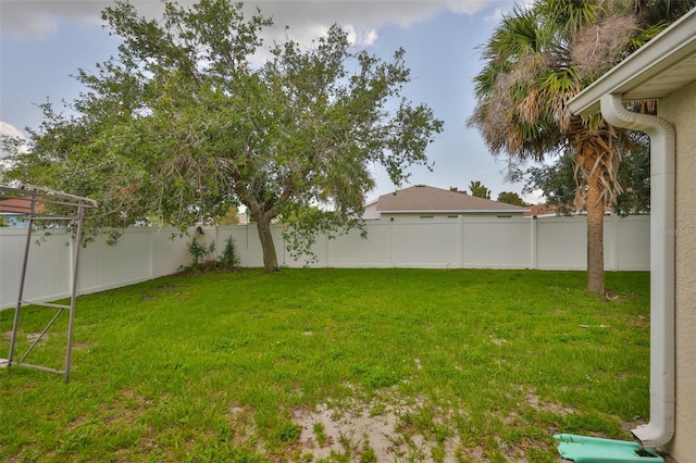 11415 Bright Star Ln, Riverview, FL 33569 - view of yard