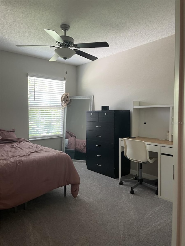 11901 Castine St, New Port Richey, FL 34654 - photo 5