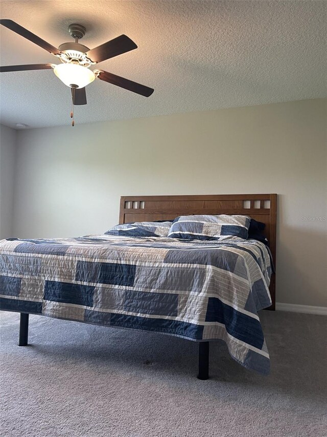 11901 Castine St, New Port Richey, FL 34654 - photo 10