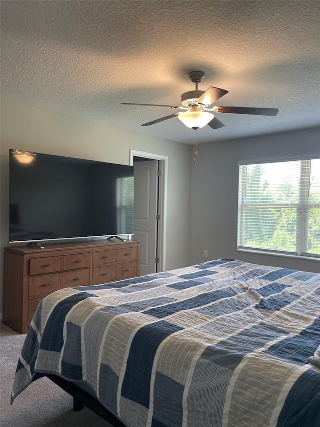 11901 Castine St, New Port Richey, FL 34654 - photo 12
