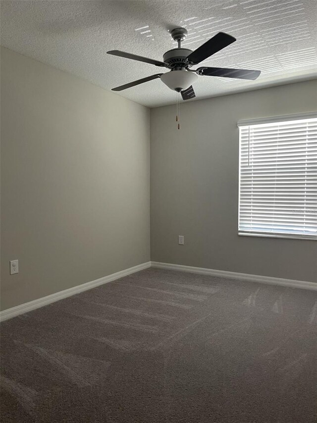 11901 Castine St, New Port Richey, FL 34654 - photo 15