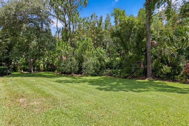 17818 Arbor Greene Dr, Tampa, FL 33647 - photo 65