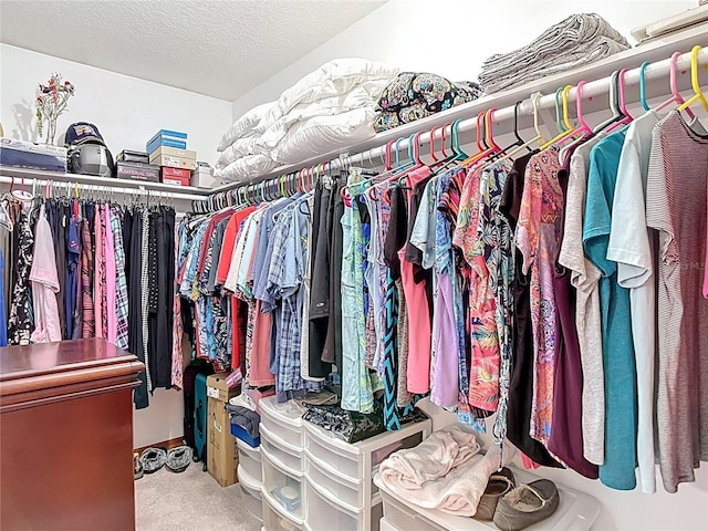5755 Yorkshire Dr, Zephyrhills, FL 33542 - walk in closet featuring carpet flooring