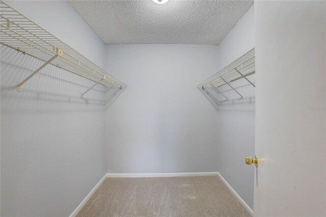 4014 Ashford Green Pl Unit G103, Tampa, FL 33613 - photo 28