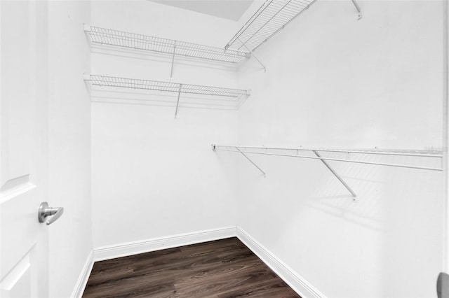 106 Cutlass Way, Oldsmar, FL 34677 - spacious closet featuring dark wood-style flooring