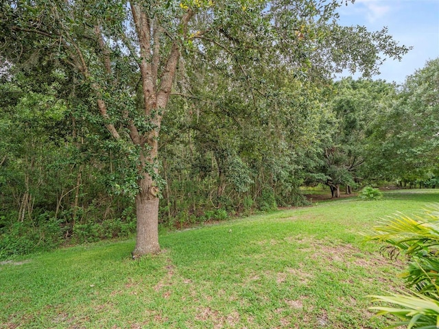 27546 Stonecreek Way, Wesley Chapel, FL 33544 - view of green lawn