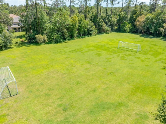 27546 Stonecreek Way, Wesley Chapel, FL 33544 - view of yard featuring an area for sports